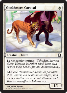 GezÃ¤hmtes Caracal