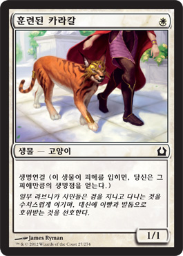 í›ˆë ¨ëœ ì¹´ë¼ì¹¼